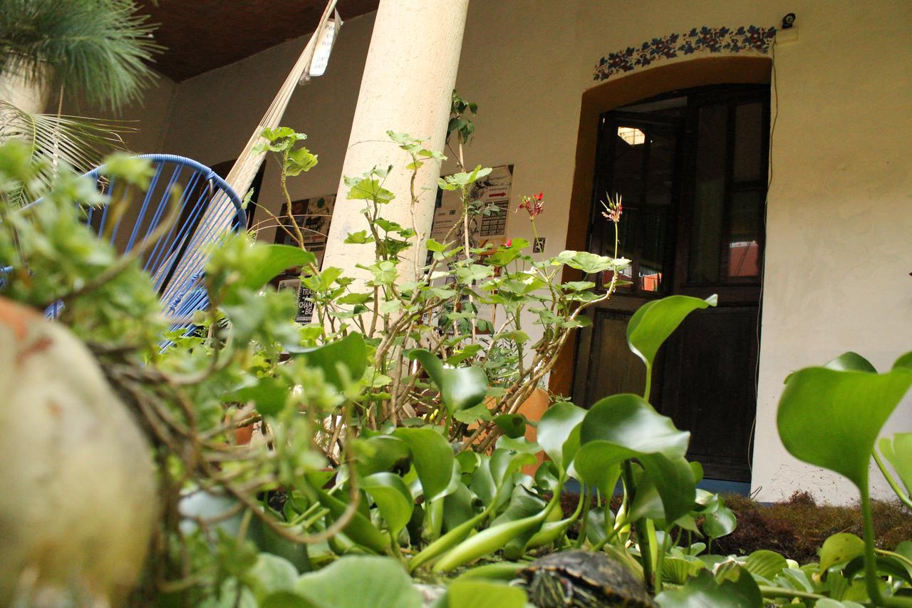 Luz De Luna Nuyoo * Oaxaca